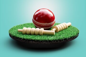 cricketgame.in