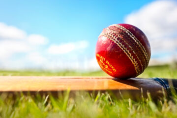Wheon Cricket 07