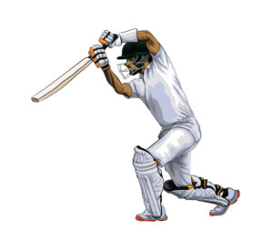 cricketgame.in