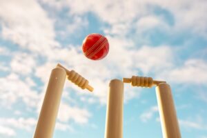 cricketgame.in