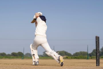 cricketgame.in