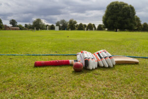 cricketgame.in