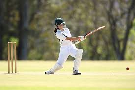 Wheon Cricket 07